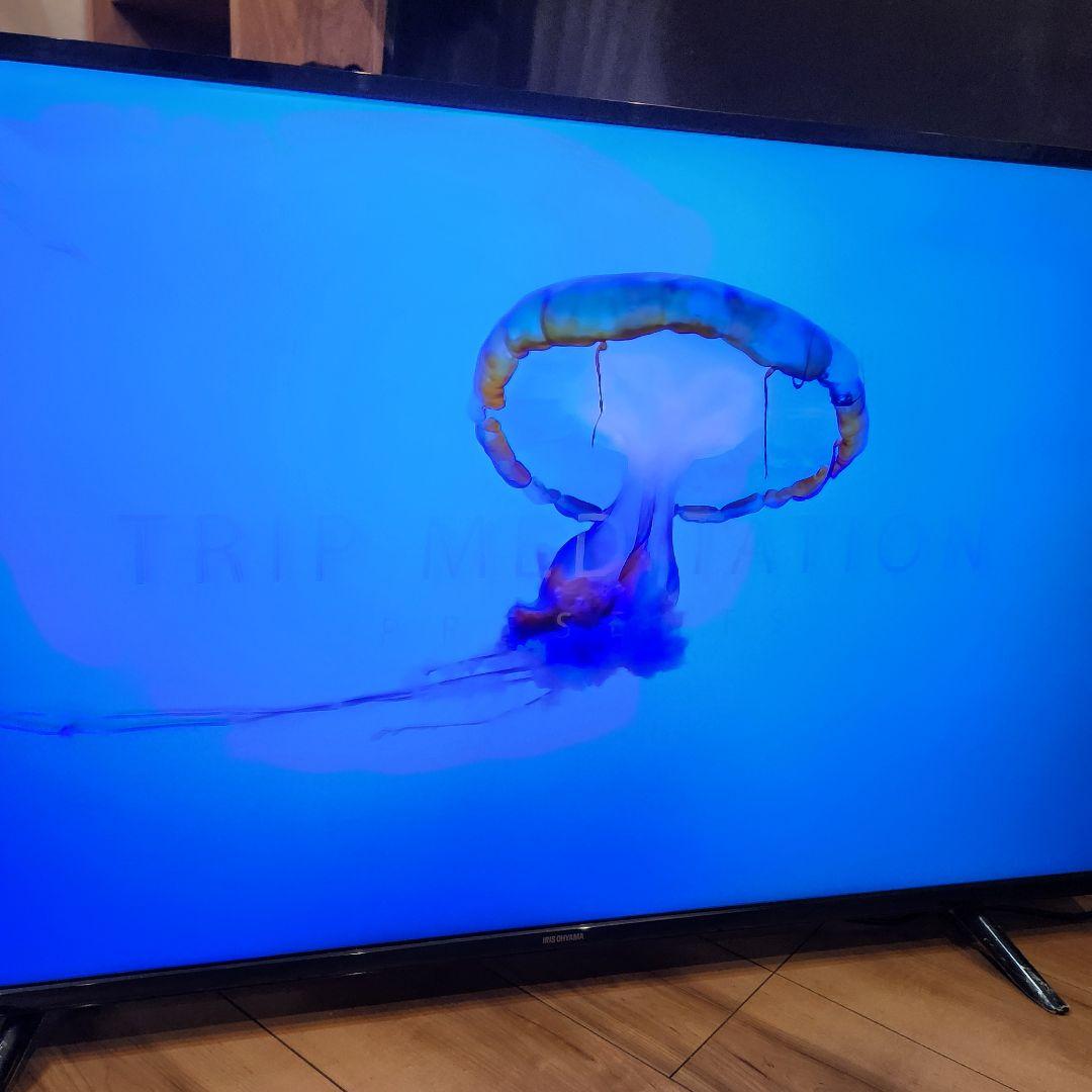 【完動品】アイリスオーヤマ 4K対応 液晶テレビ 43UB10PC　2019年製