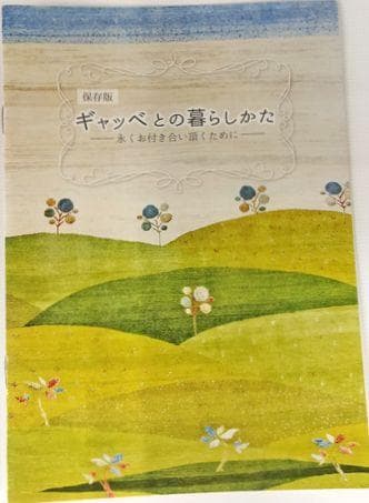 値下げ可能ミニギャベ●36×40㎝●手織●本物●新品未使用 遊牧民が紡ぐギャッベ