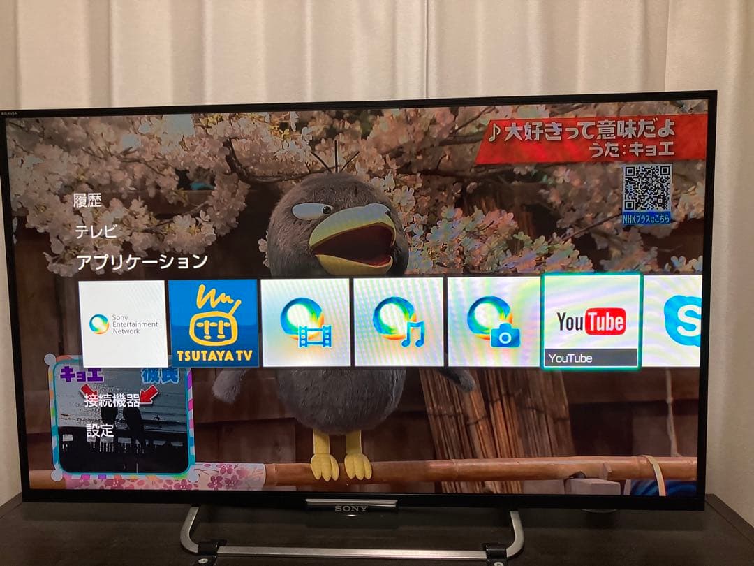 付属品有 ソニー42型液晶テレビ ブラビア KDL-42W650A ハイビジョン