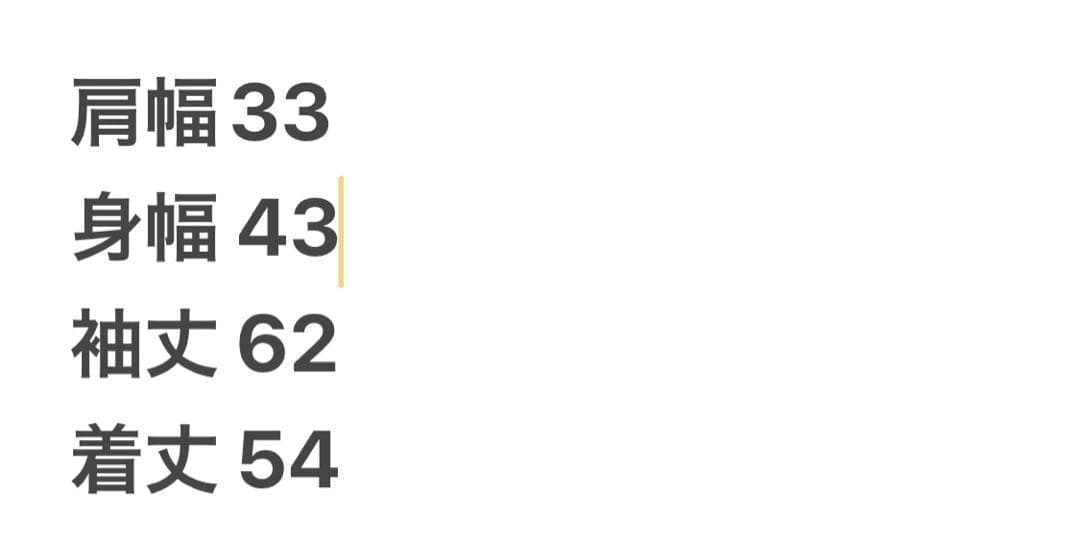 Sheglit シェグリットAlicia レースブラウス 長袖 ロリータ　長袖