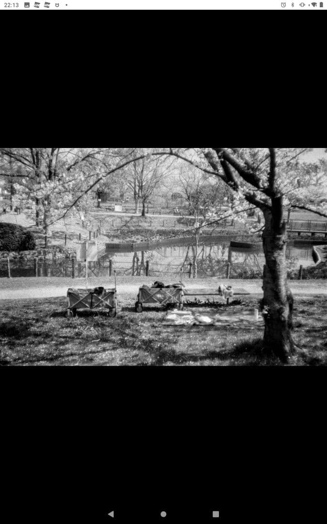 コニカ KONICA c35 Flashmagic