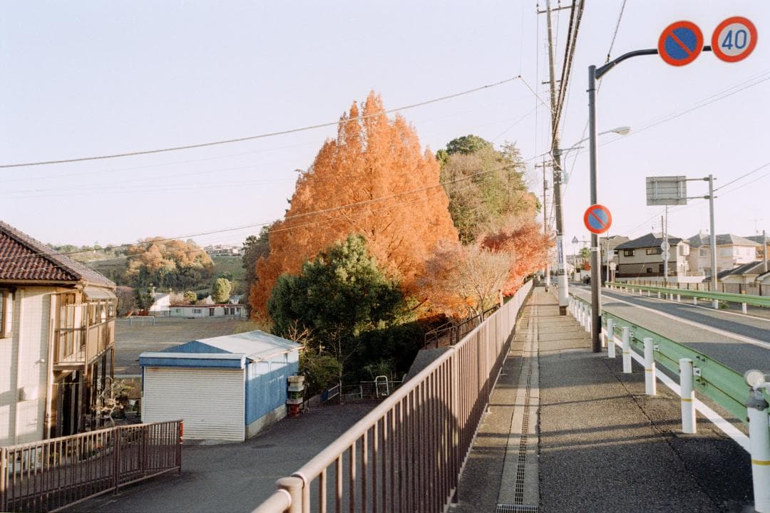 フィルムカメラ Contax G1 - Silver Label