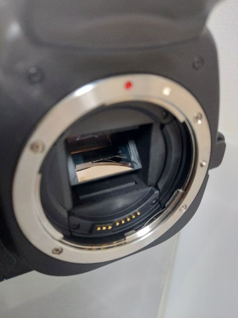 CANON　EOS 20D 一眼レフ　キャノン　スマホ転送OK