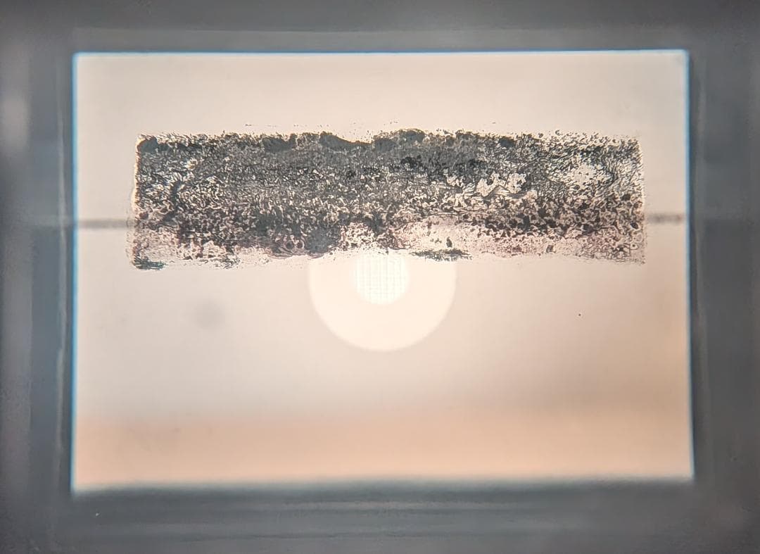 マミヤ Mamiya M645 + Sekor C 80mm F2.8 8085