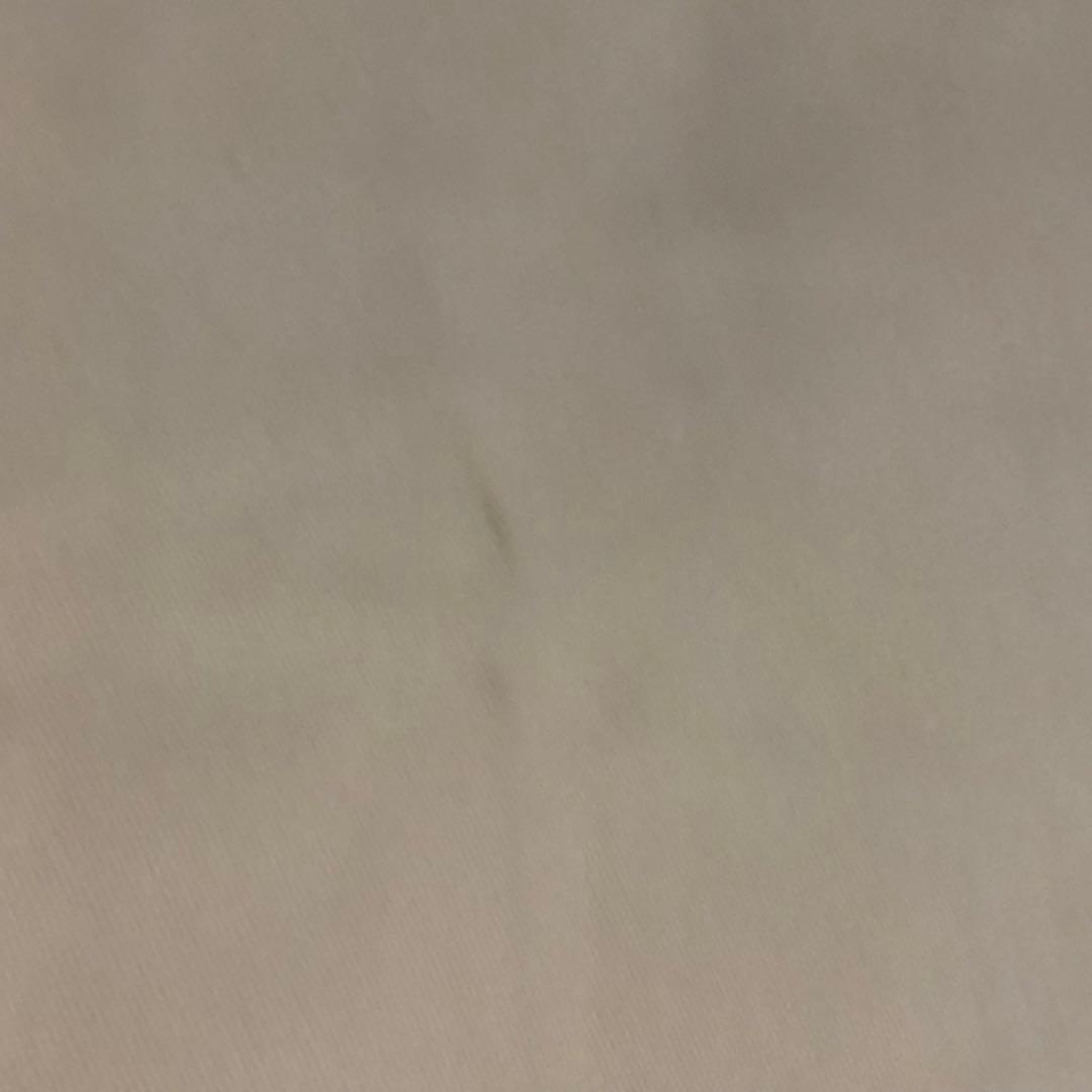 最終価格　ルイヴィトン　キャリーケース保存袋、バッグ用等保存袋20枚