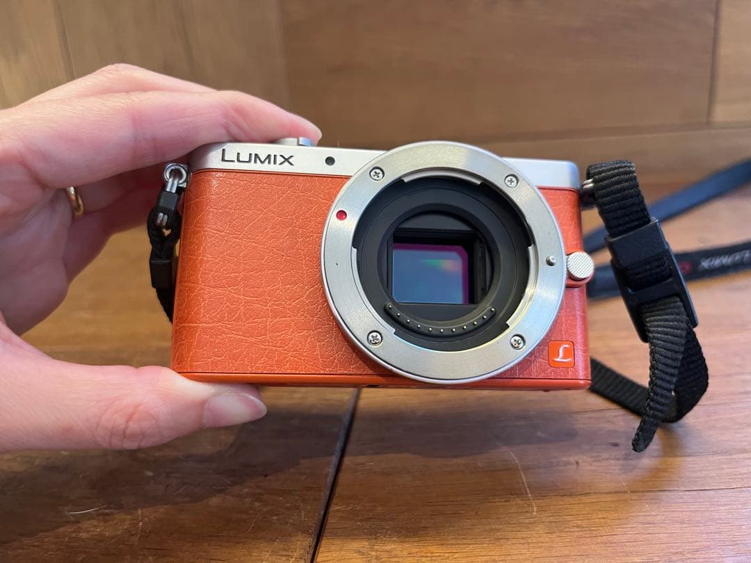 パナソニック LUMIX GM1 DMC-GM1 ミラーレス一眼レフカメラ