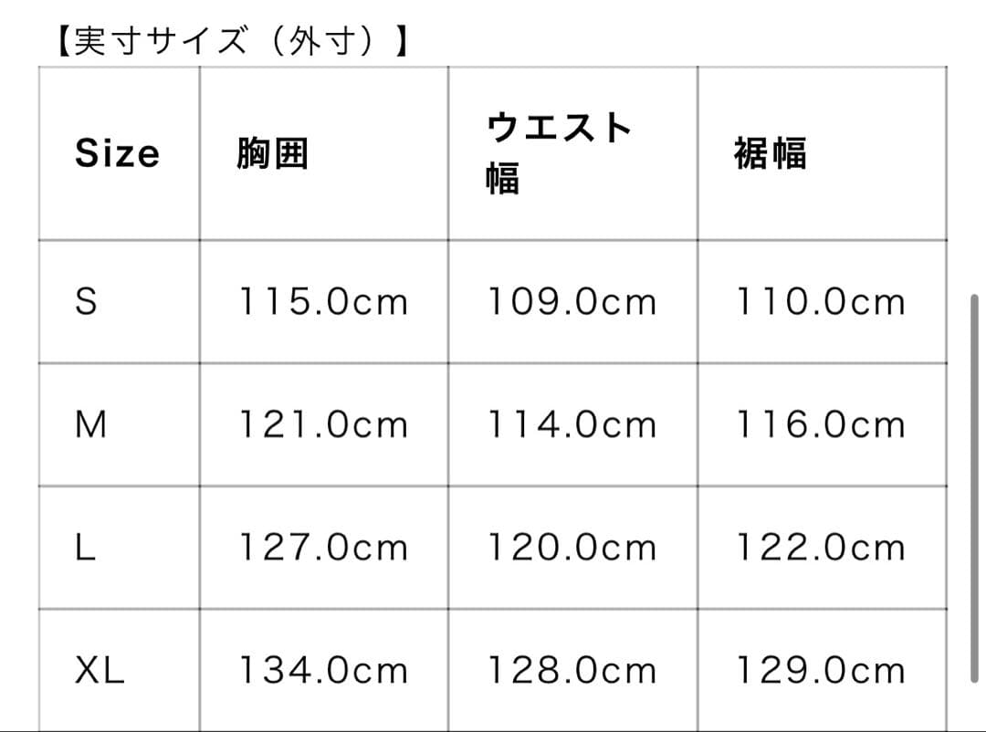 スキー PeakPerformance Gore-Tex3LJacket
