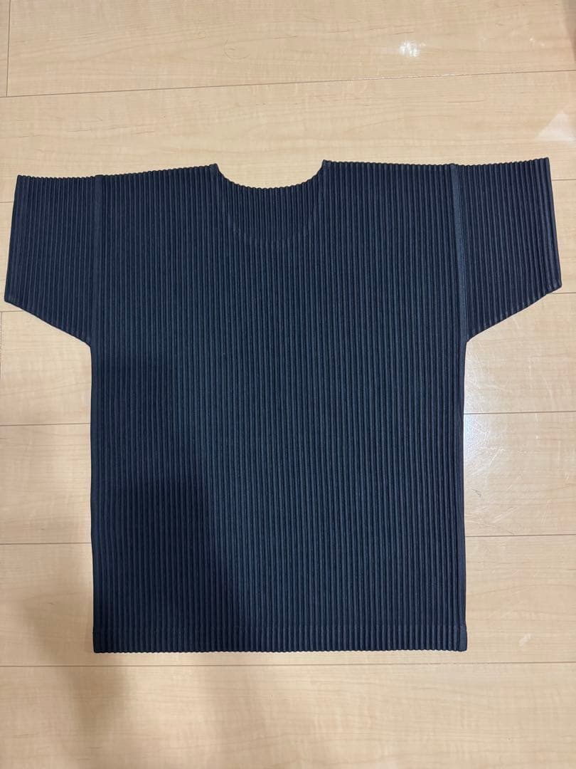 HOMMEPLISSE ISSEYMIYAKE【プリーツカットソー】size:2