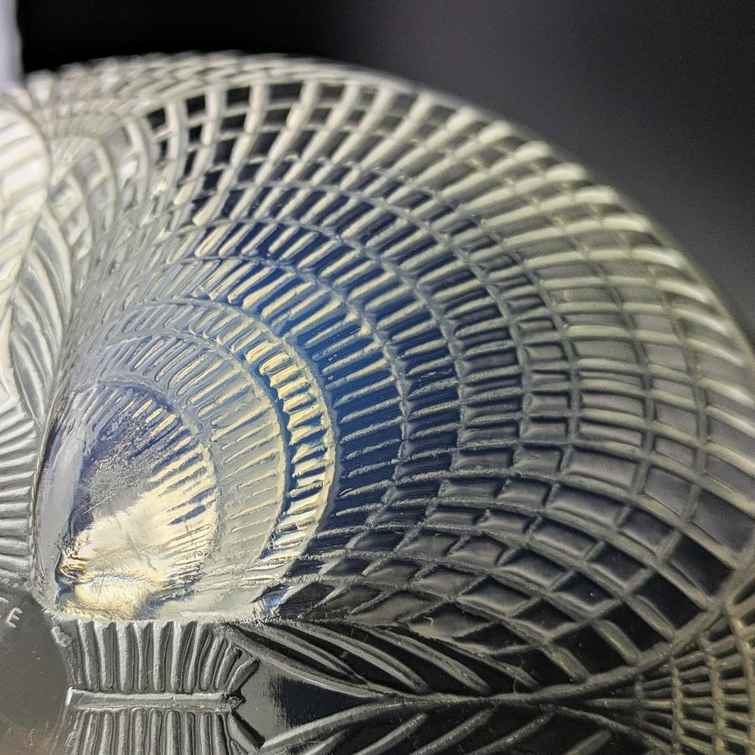 【光の表情】1924年ルネ・ラリック コキーユ 19㎝大鉢オパルセントアールデコ