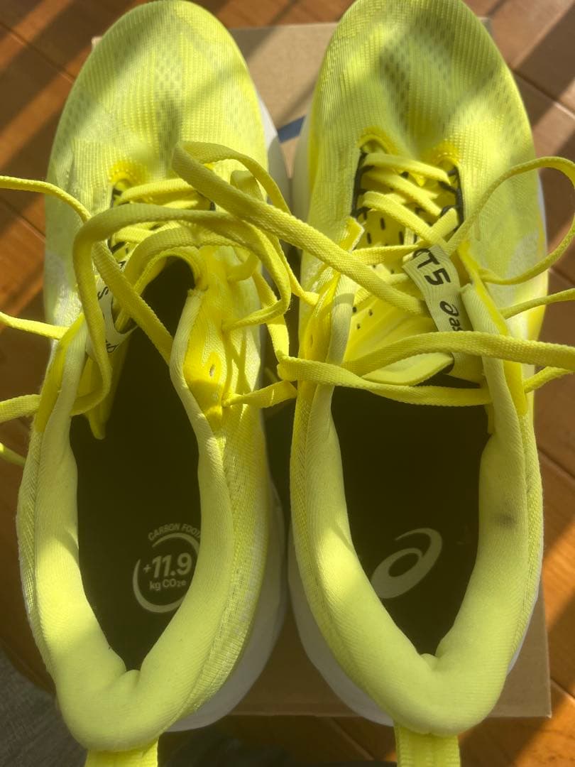 【美品】asics NOVABLAST 5 28.0cm スタンダード