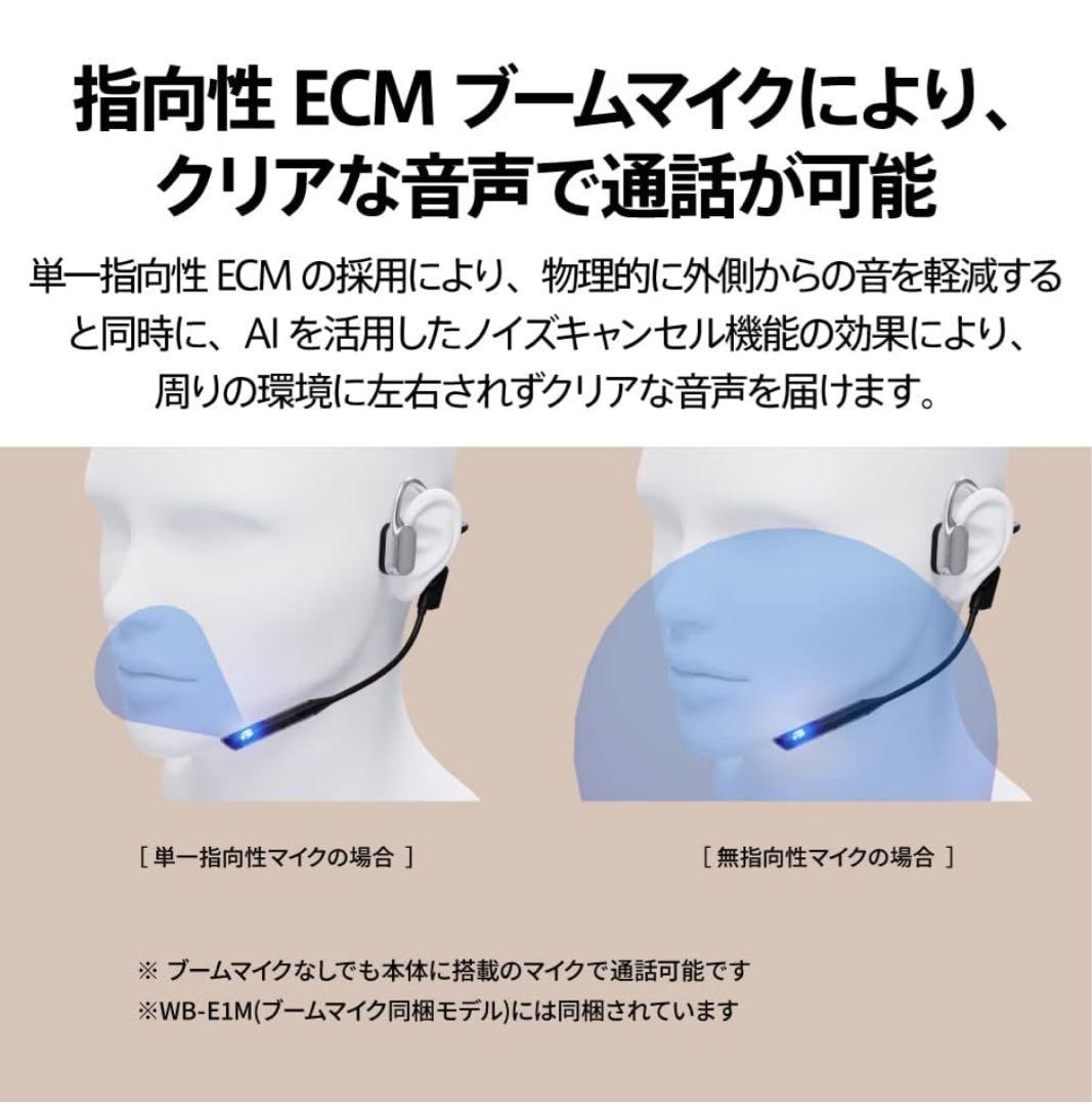 AVIOT ワイヤレスイヤホン WB-E1M　メタリックブラック　マイク付