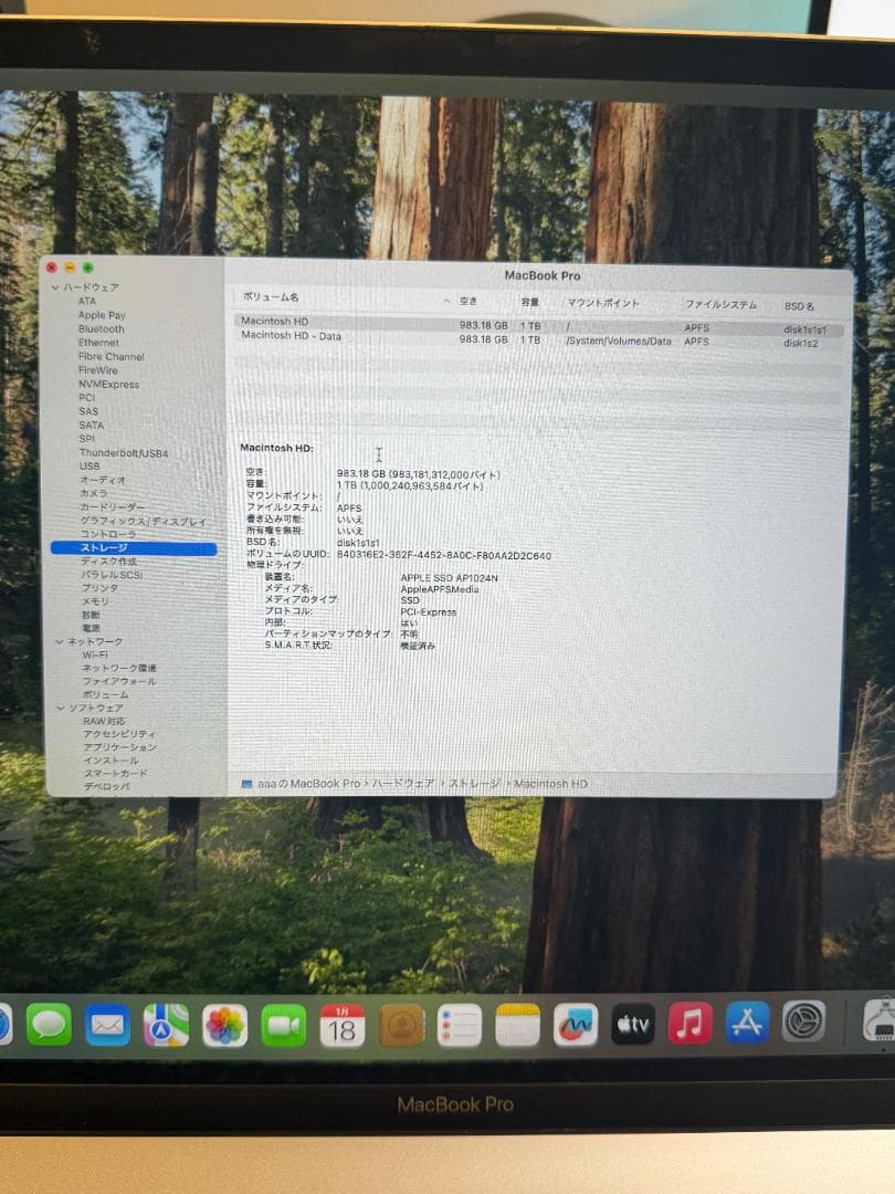 MacBook本体 MacBook Pro Intel /i9/16GB/1TB