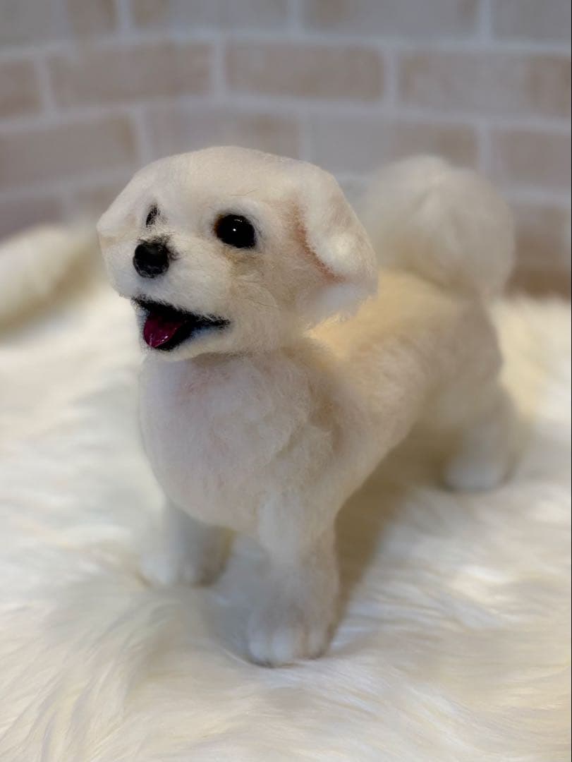 ジ*原様 羊毛フェルト　マルチーズ　momoichigo