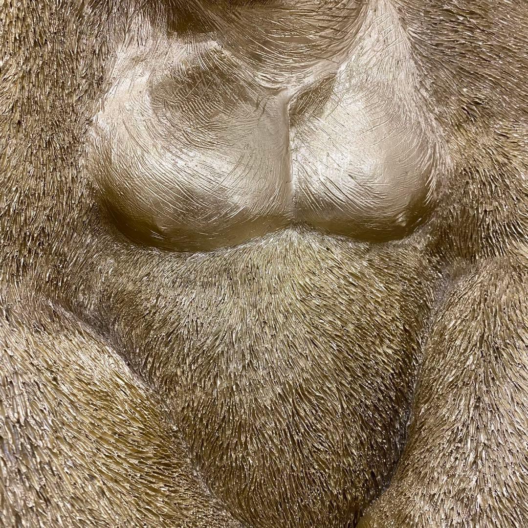 福岡直接受渡⭐️KARE カレ　モンキーゴリラサイド ゴールド XL(E-b)R