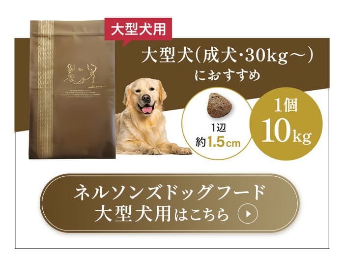ネルソンズドッグフード 大型犬用 10kg