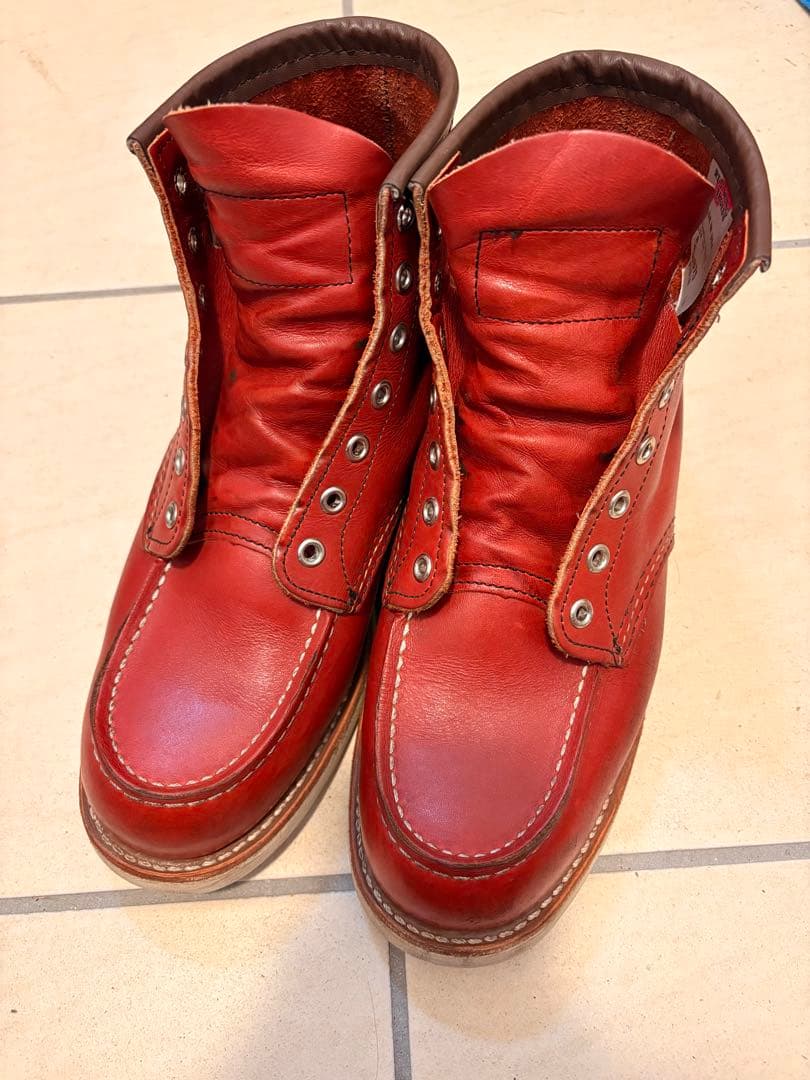 レッドウイング　犬タグ　8875 E 26センチ