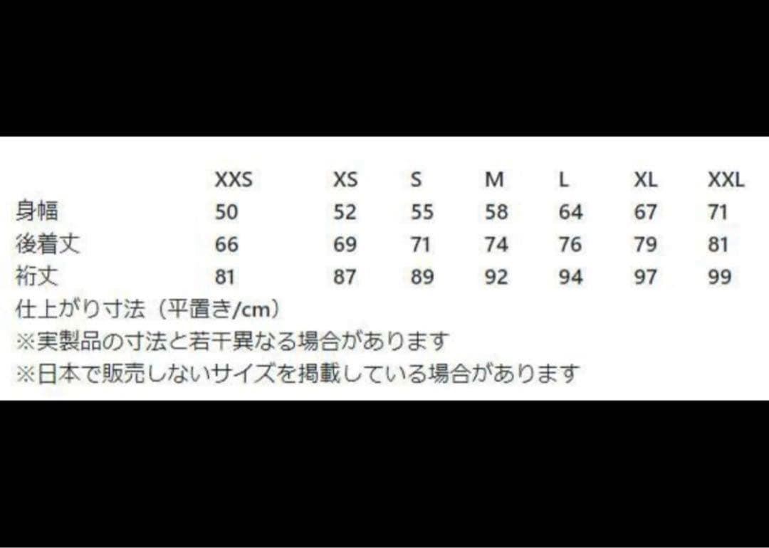 【 専用 】廃盤 美品　PATAGONIA フーディニ スナップT プルオーバー