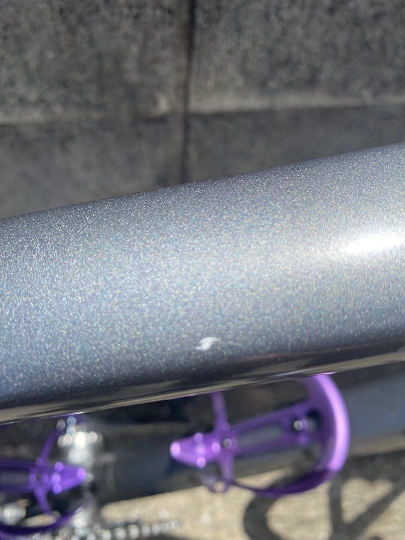 ほ*よ様 今だけ大特価Khodaabloom Farna