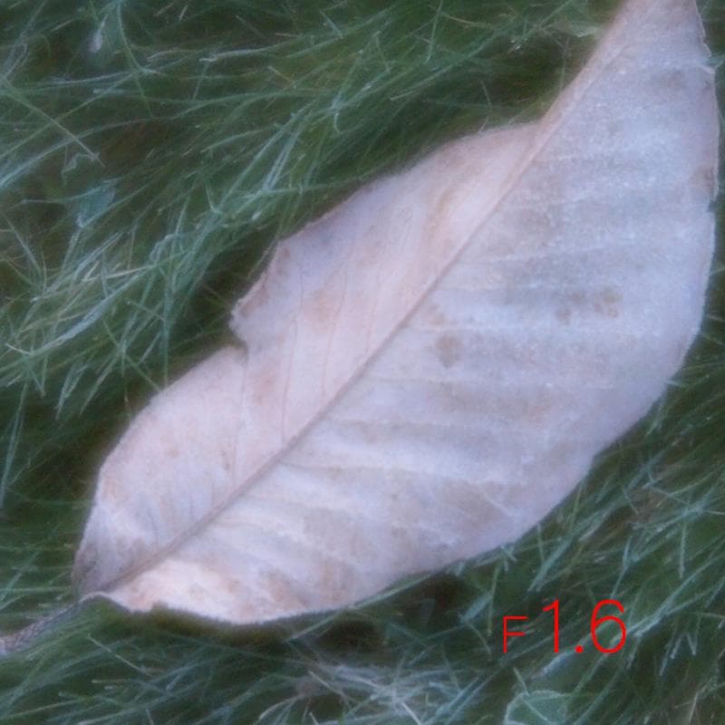 ☆美品☆Lensbaby Velvet 56mm f1.6 ☆m4/3☆