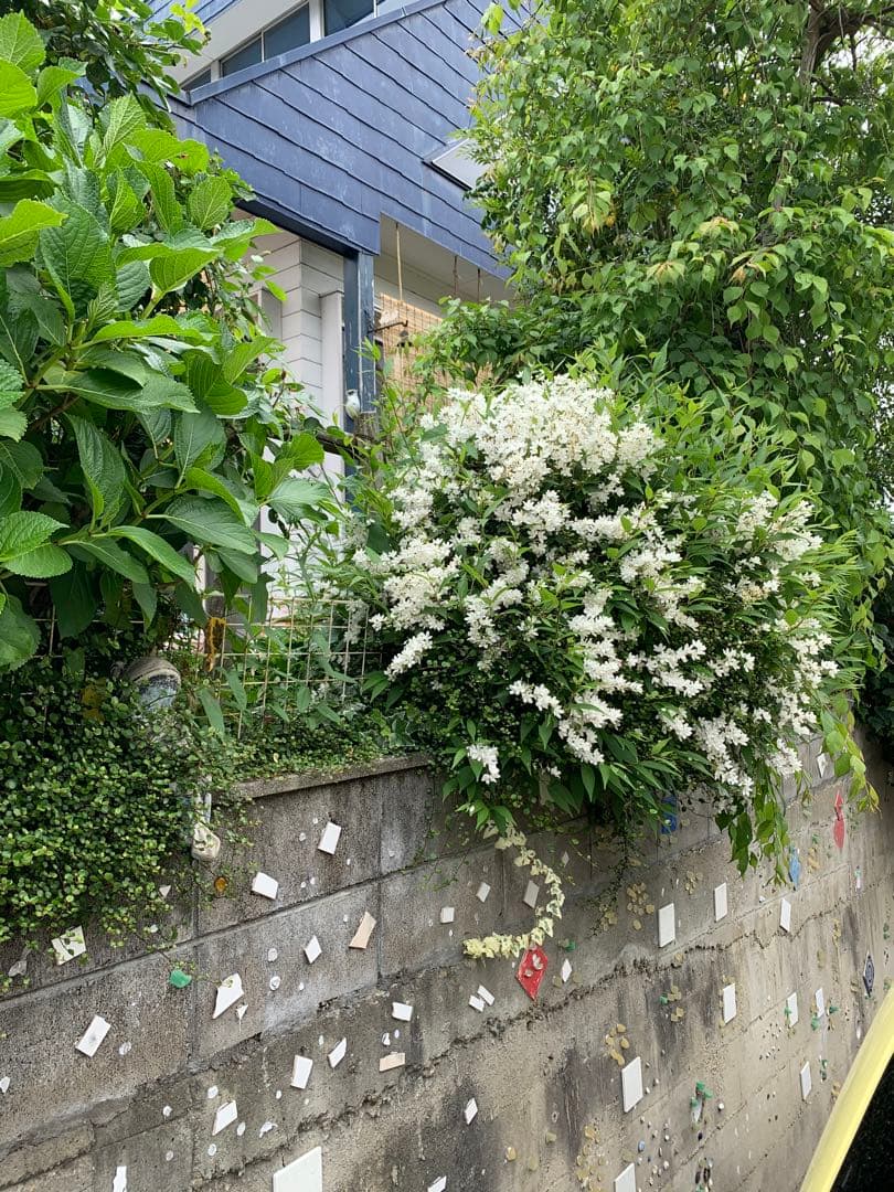 ヴィヴィアンウェストウッドの素敵な時計です。 とても美品です。