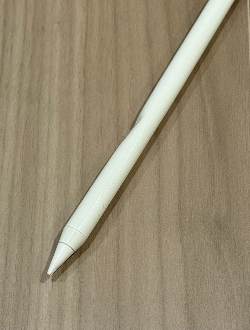 iPad Pro 12.9インチ 第3世代 Wi-Fi 256GB 非純正ペン付