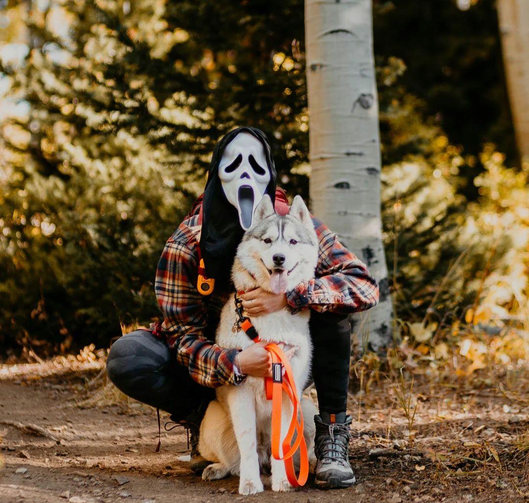 がっちゃん様　新品未使用　WILDERDOG 防水リード他セット販売