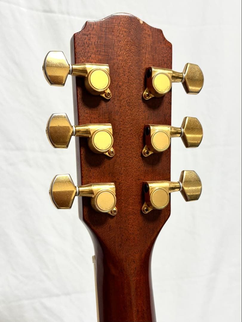 【新品弦張替済】Morris エレアコ TC-1 CUS