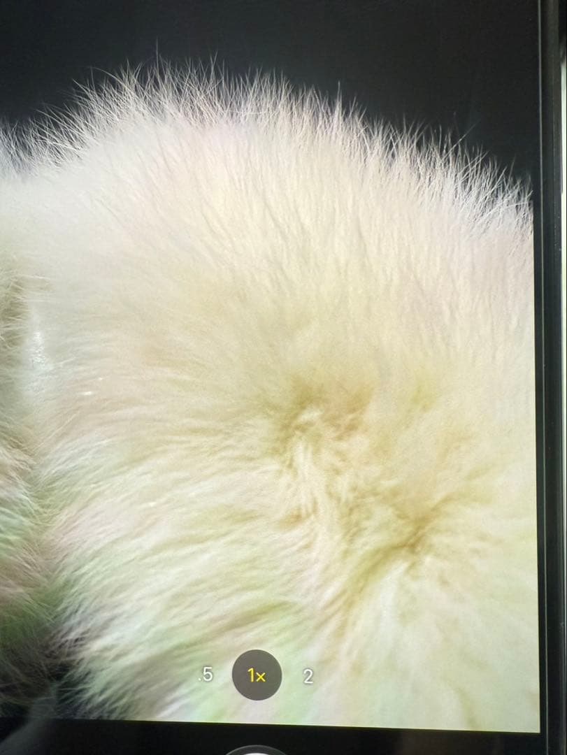 Apple iPhone 11 Pro max 512GB スペースグレー