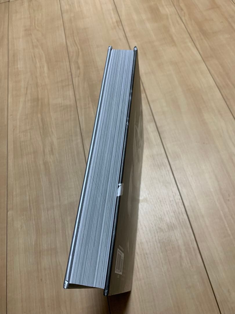 最終価格 希少 新品未使用 ステフィンカリー SHOT READY