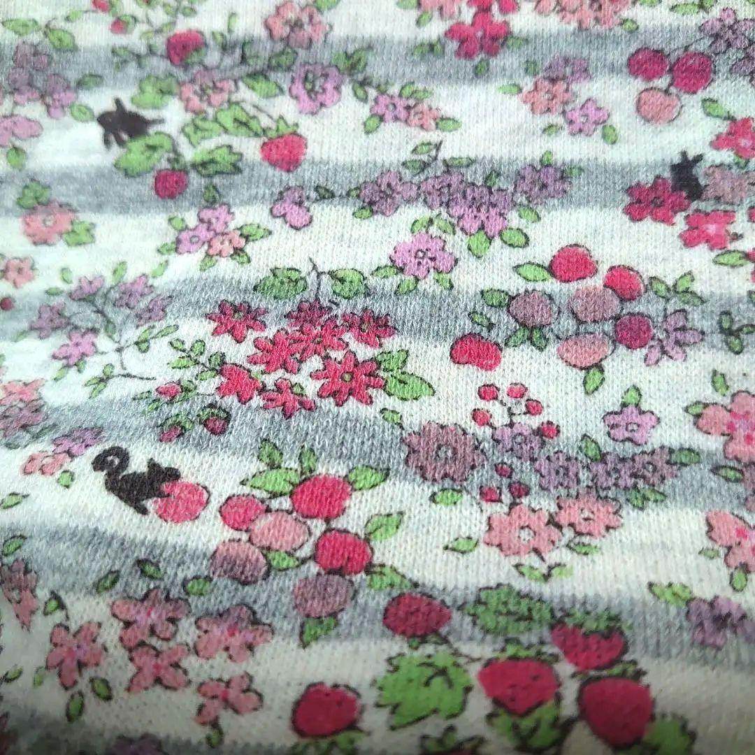 犬服 SS わんこの普段着　フルーツカシェ　ボーダー