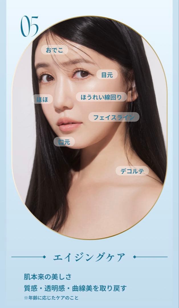 icelady 美顔器 フェイスインベストメント SKB-2003 顔面投資