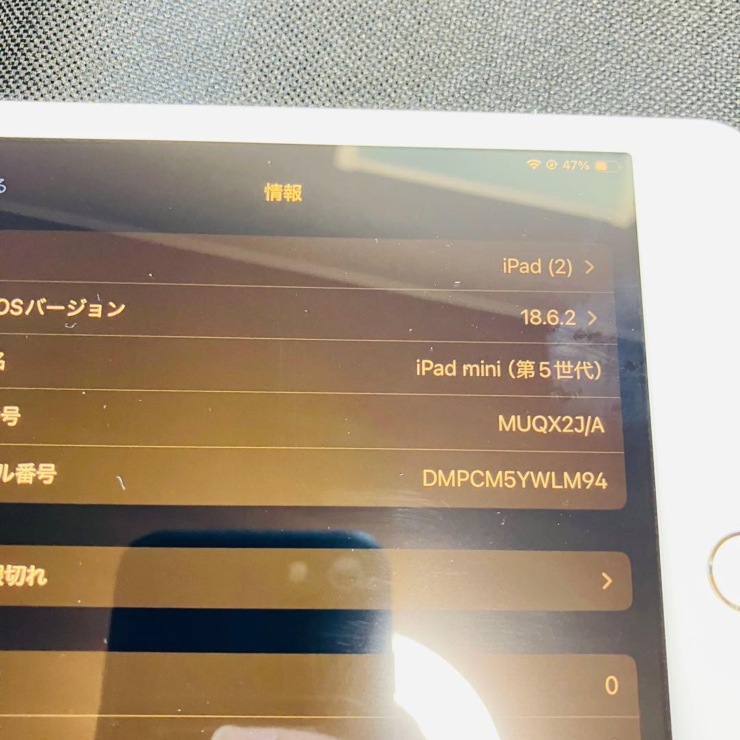 【画面浮きジャンク】iPad mini 5 64GB バッテリー100%