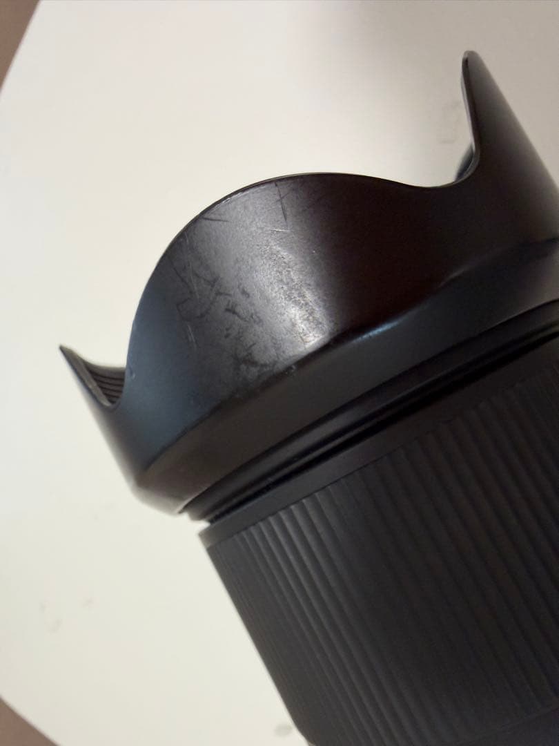 サ*…様 TAMRON 28-200mm F/2.8-5.6 Di III RX