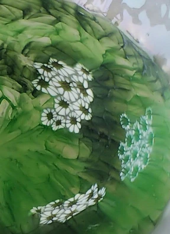 ★花のムリーニと銀箔★インカルモ茶碗