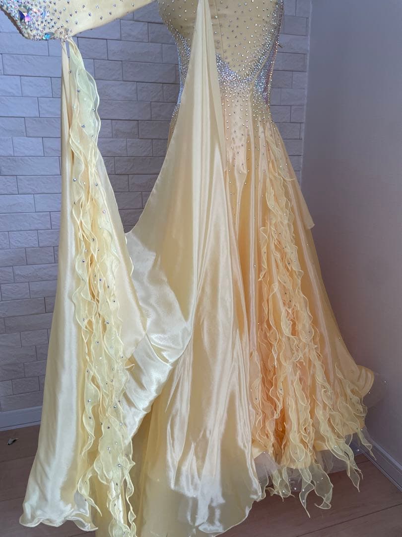 社交ダンス⭐️スタンダードドレス　オーダードレス　スワロフスキー