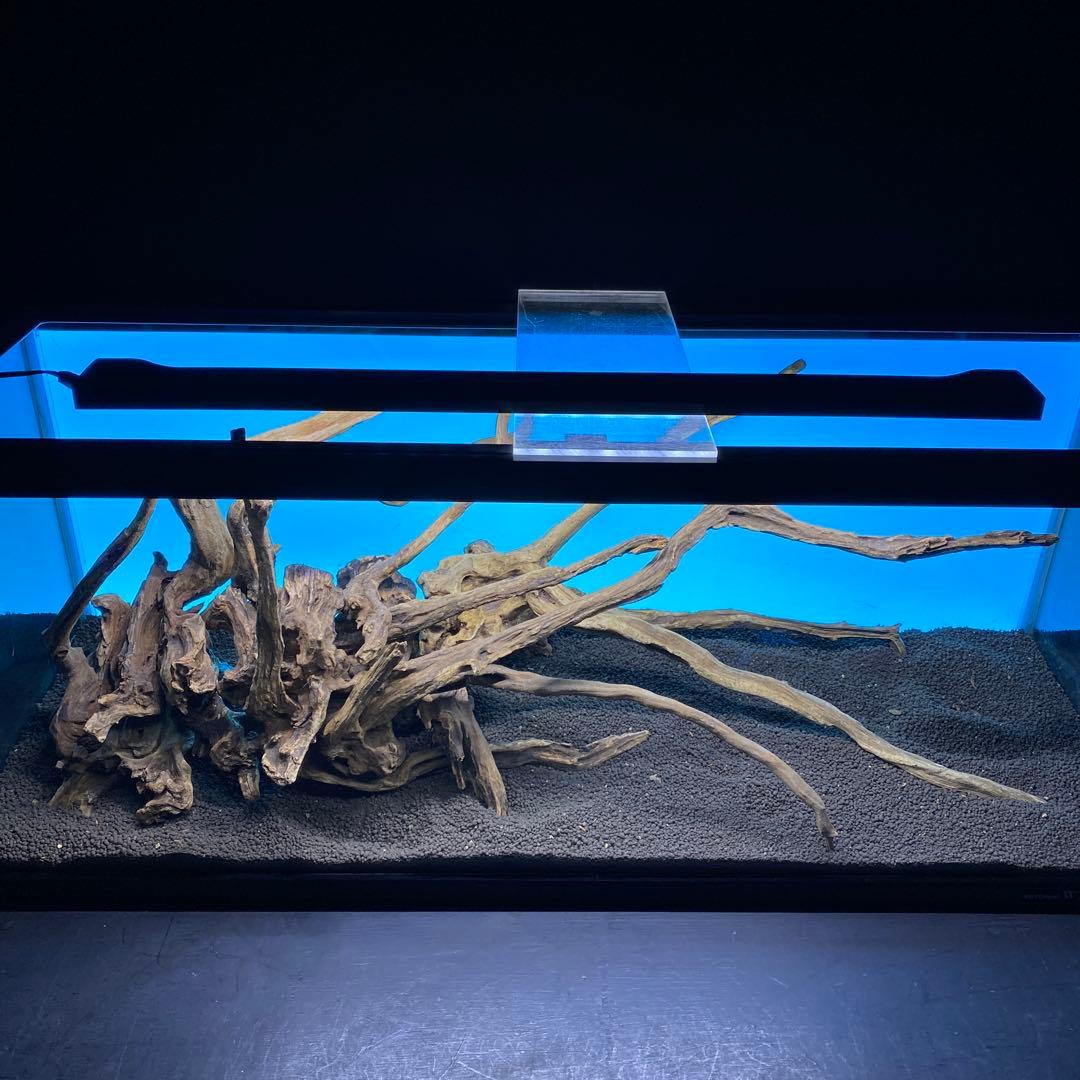 MSRW-6620 天然流木レイアウトセット　スリムウッド　アクアリウム