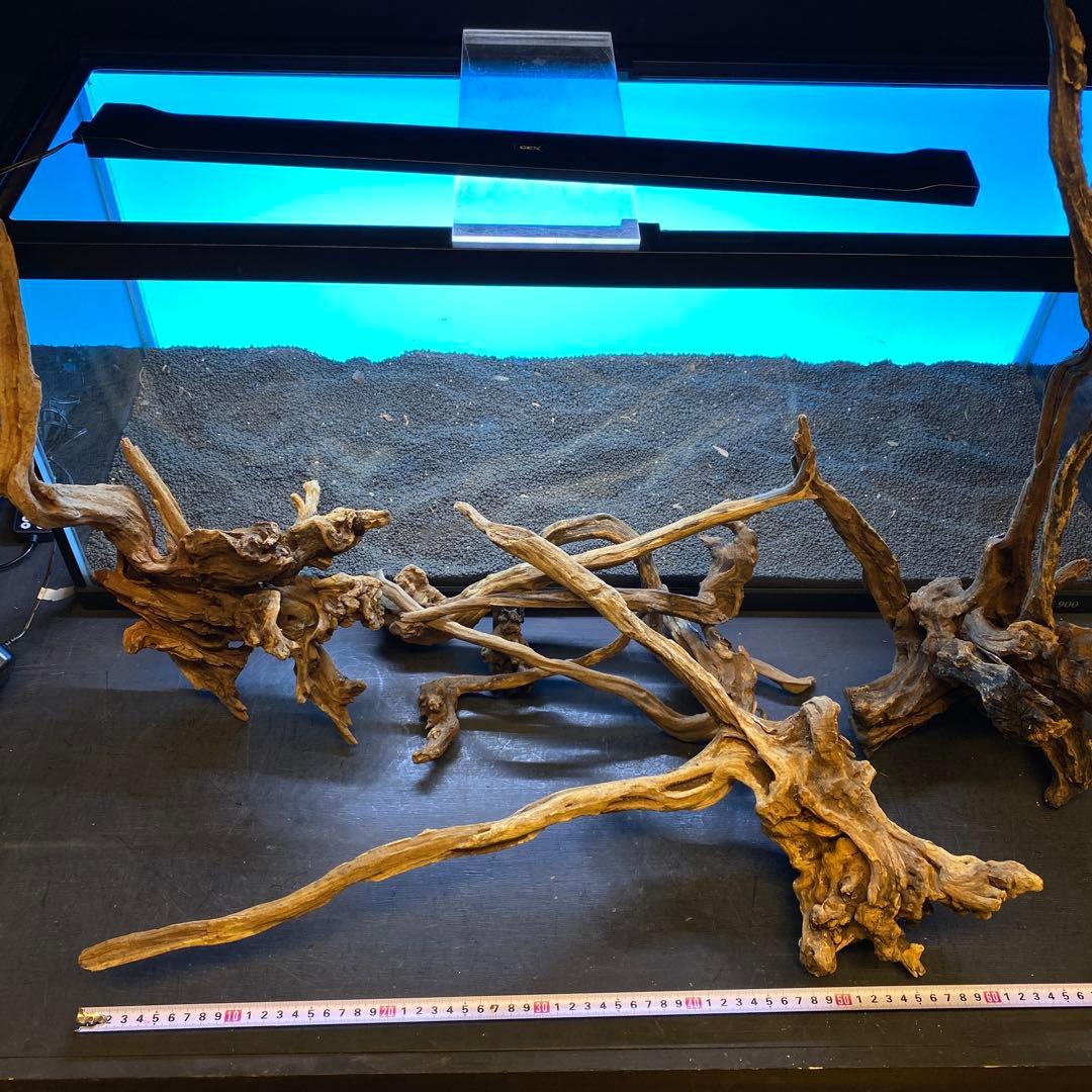 MSRW-6620 天然流木レイアウトセット　スリムウッド　アクアリウム