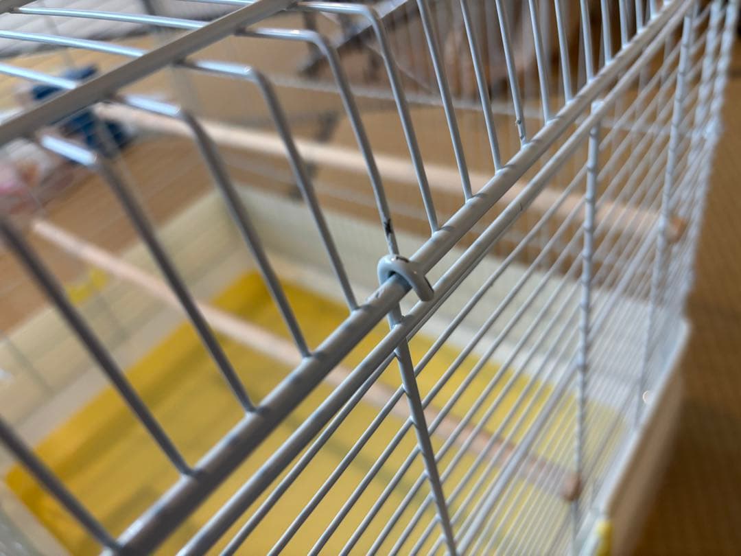 うずら★SANKO 三晃商会 イージーホーム　バード　60-YE（手乗り）