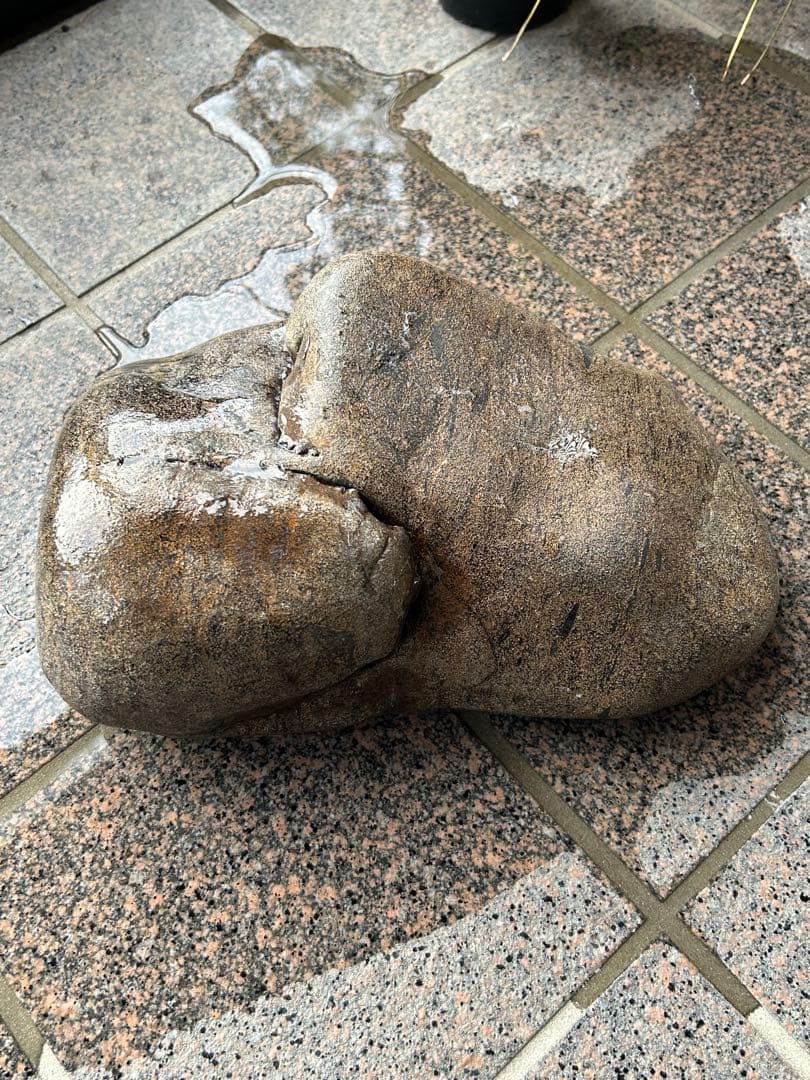 希少　犀川金梨地石　うぶ石　長野県産　石のみのご提供です。