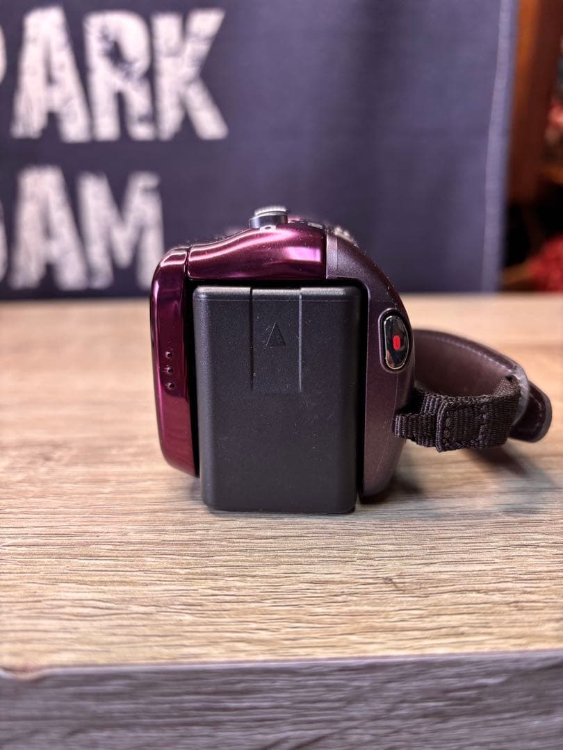 Panasonic デジタルビデオカメラ HDC-TM35