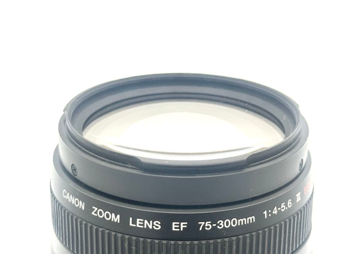 【完動品】Canon EF 28-80 EF 75-300 2本セット　動作OK