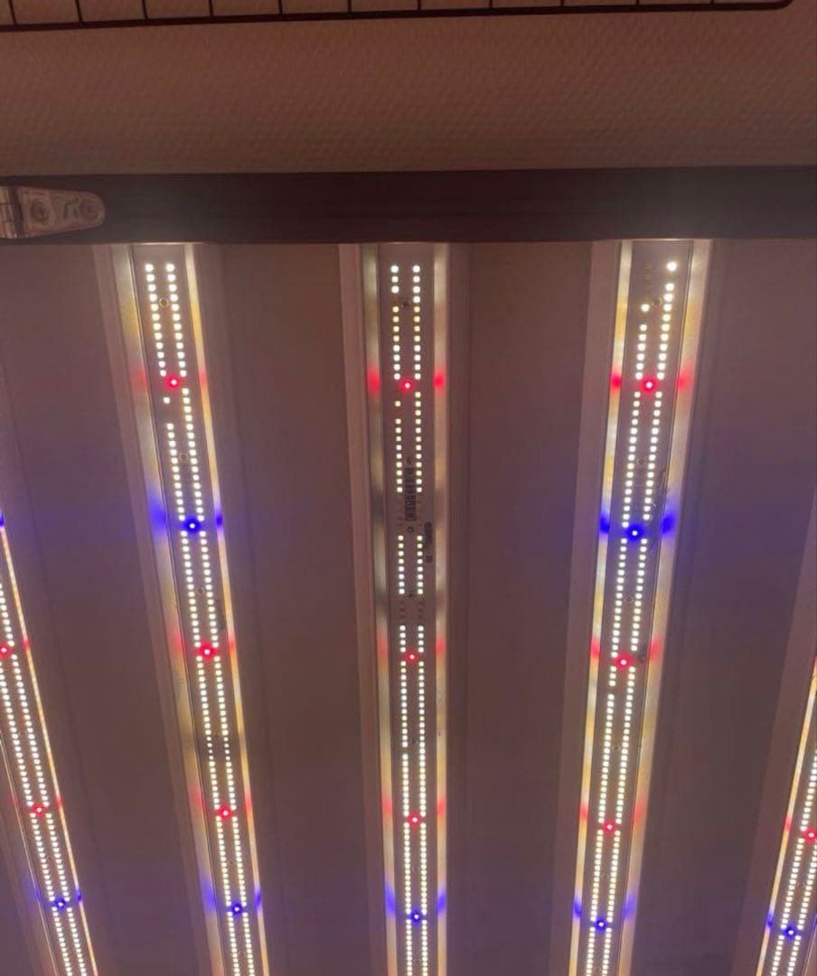 オプティック　optic slim 600h 2台セット 単体売りも