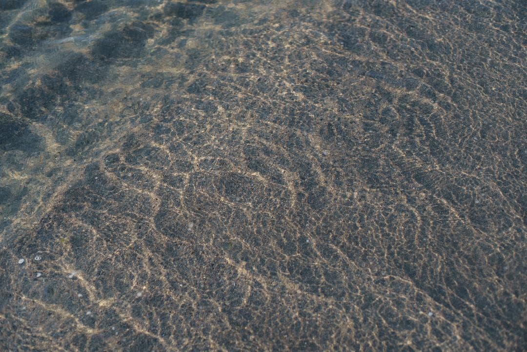 おおにし様　最初期モデル！標準の帝王 Planar 50mm F1.4 AEJ