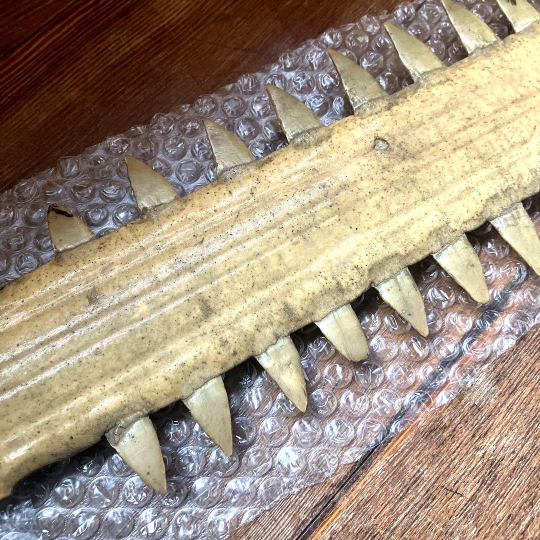 希少 ノコギリエイ 吻 全長約74cm 歯 博物 雑貨