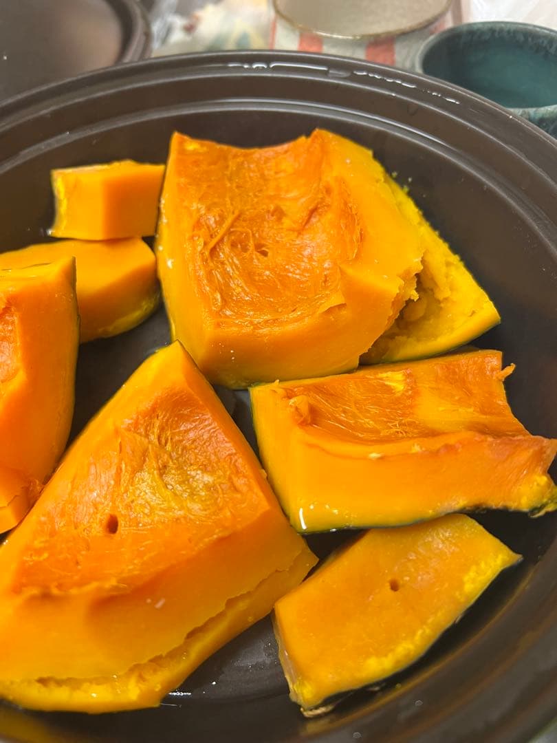 【新品】マイクロ波対策！電子レンジ専用　磁性鍋Lサイズ