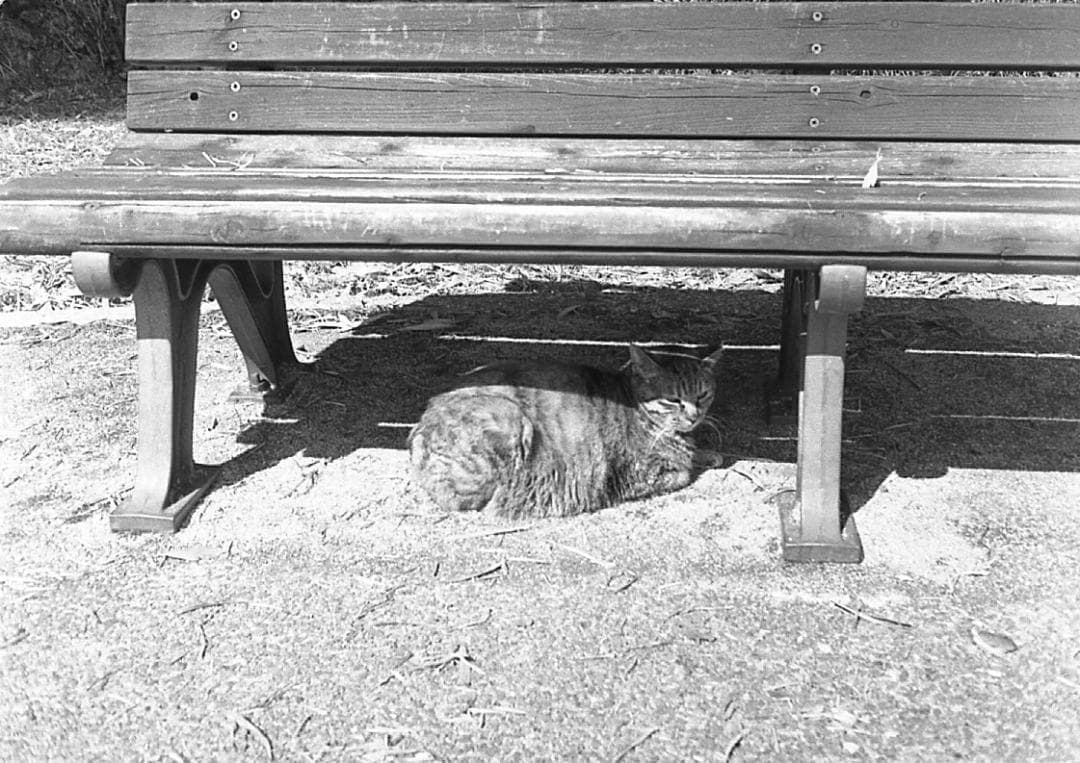 【整備済完動品・試写済】Olympus PEN EE-3 コンパクトカメラ