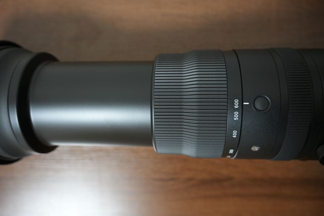 SIGMA 150-600mm F5-6.3 DG DN OS Eマウント