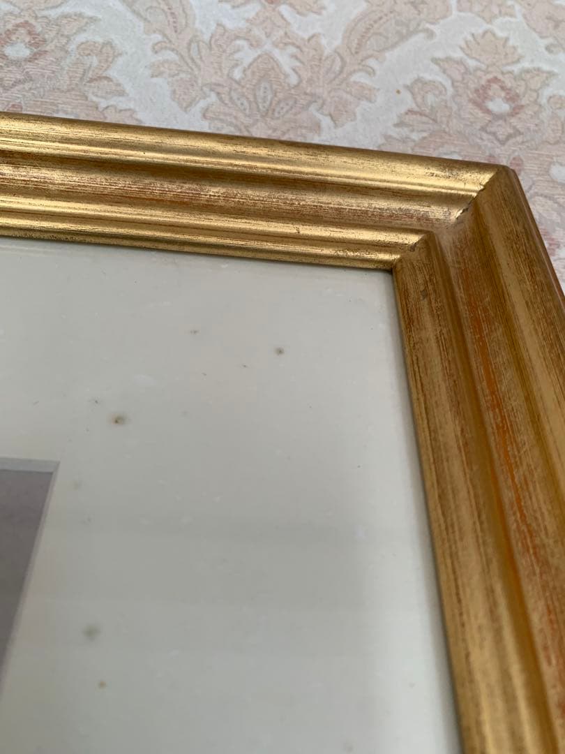 モルフォ蝶 羽絵 アート アンティーク インテリア 額装 羽細工 蝶標本 壁掛け