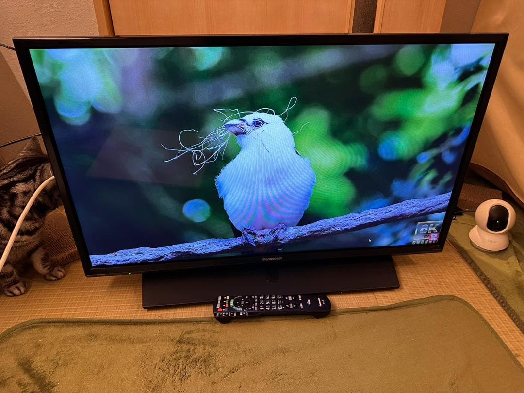 Panasonic　パナソニック 32型 テレビ TH-32F350 18年美品