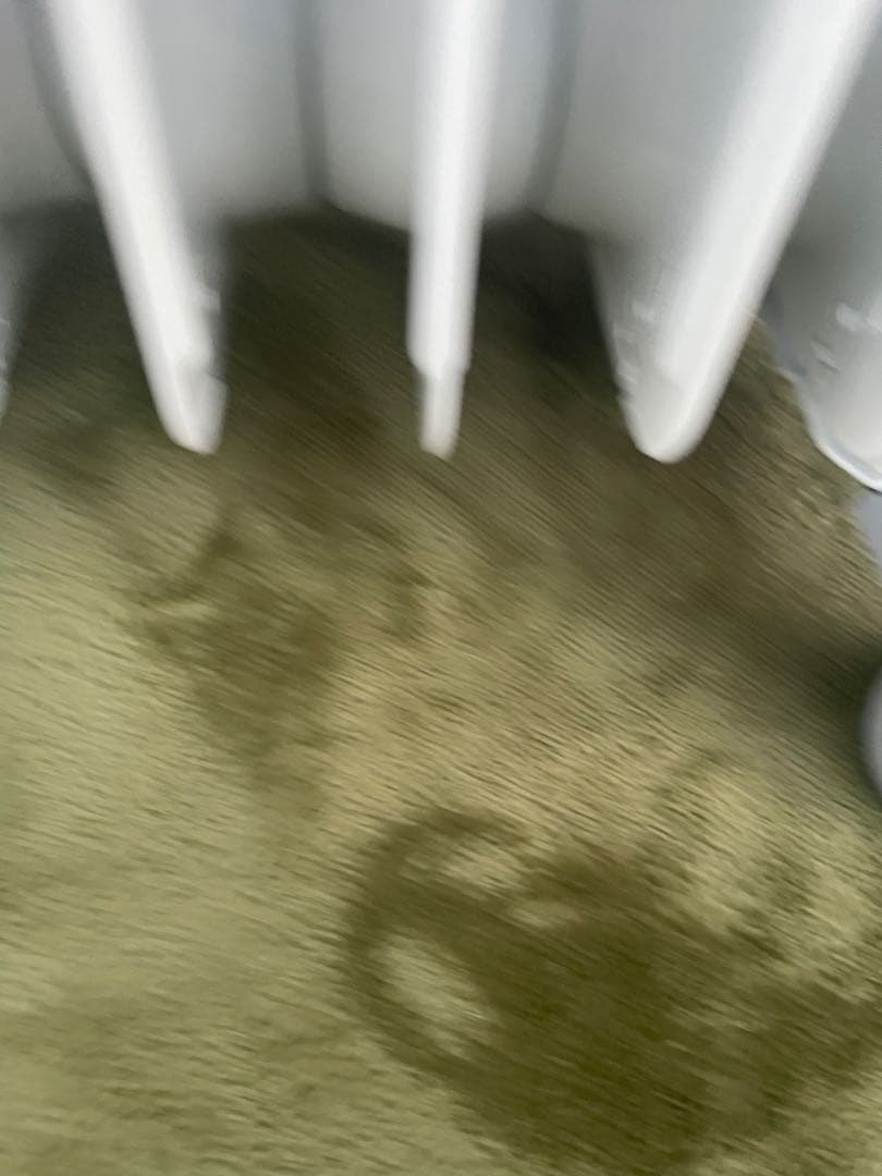 DeLonghi オイルヒーター ホワイト　デロンギ